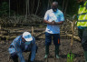 Célébration Journée internationale pour la conservation des écosystèmes de la mangrove 