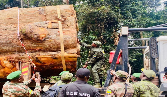 Renforcement des opérations de police forestière