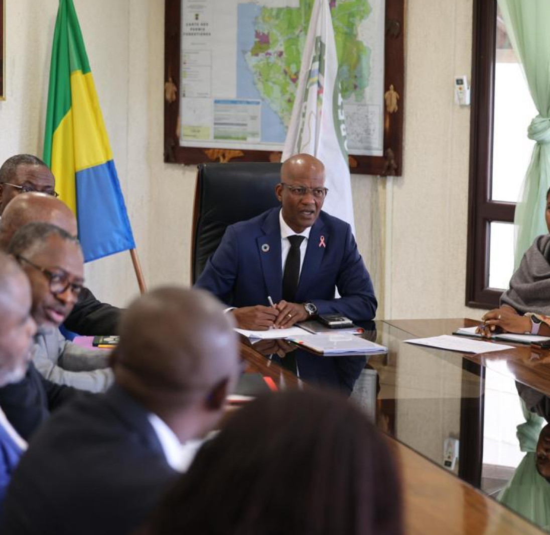 Le Ministre des Eaux et Forêts plaide pour le renforcement de la traçabilité et l&rsquo;optimisation des recettes de la filière Forêt-Bois